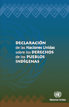 Declaración de las Naciones Unidas sobre los derechos de los pueblos indígenas